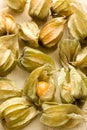 Physalis fruit Royalty Free Stock Photo