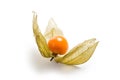 Physalis fruit Royalty Free Stock Photo