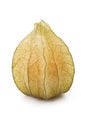 Physalis fruit Royalty Free Stock Photo