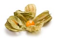 Physalis fruit