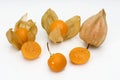 Physalis fruit 2 Royalty Free Stock Photo