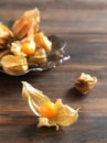 Physalis fruit Royalty Free Stock Photo