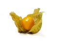 Physalis fruit Royalty Free Stock Photo