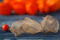 Physalis fruit on blue background Royalty Free Stock Photo