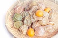 Physalis fruit Royalty Free Stock Photo