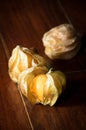 Physalis fruit or capegooseberry Royalty Free Stock Photo