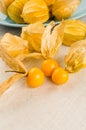 Physalis fruit closeup Royalty Free Stock Photo