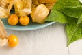 Physalis fruit closeup Royalty Free Stock Photo