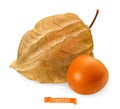 Physalis fruit with husk, 3d realistic vector icon