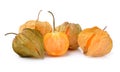 Physalis fruit isolated on white background Royalty Free Stock Photo
