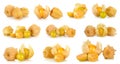 Physalis fruit isolated on the white background Royalty Free Stock Photo