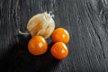 Physalis fruit isolated on white background Royalty Free Stock Photo