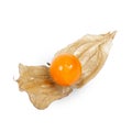 Physalis fruit isolated on white background Royalty Free Stock Photo