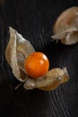 Physalis fruit isolated on white background Royalty Free Stock Photo