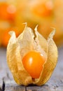 Physalis fruit Royalty Free Stock Photo