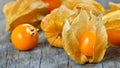 Physalis fruit