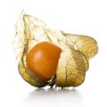 Physalis, fruit with papery husk Royalty Free Stock Photo
