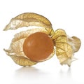 Physalis, fruit with papery husk Royalty Free Stock Photo