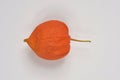 Physalis fruit Royalty Free Stock Photo