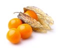 Physalis fruit