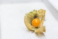 Physalis fruit Royalty Free Stock Photo