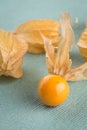 Physalis fruits