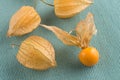 Physalis fruits