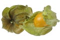 physalis fruits Royalty Free Stock Photo