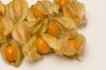 Physalis fruits isolated on a white background Royalty Free Stock Photo