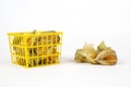 Physalis fruits in and out of a plastic basket Royalty Free Stock Photo