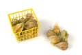Physalis fruits in and out of a plastic basket Royalty Free Stock Photo