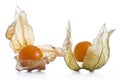 Physalis, fruits with papery husk Royalty Free Stock Photo