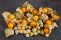 Physalis fruits