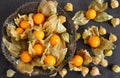 Physalis fruits