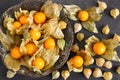 Physalis fruits