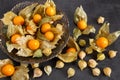 Physalis fruits