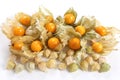 Physalis fruits