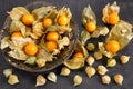 Physalis fruits