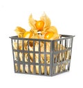 Physalis fruits in plastic basket Royalty Free Stock Photo