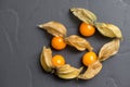Physalis fruits Royalty Free Stock Photo