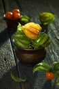 Ripe physalis closeup