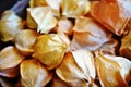 Physalis ground cherry fruit at the farmers market Royalty Free Stock Photo