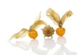 Physalis, ground cherry. Royalty Free Stock Photo