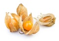 Physalis group Royalty Free Stock Photo