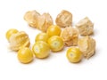 Physalis group Royalty Free Stock Photo