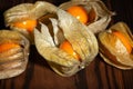 physalis group on wood Royalty Free Stock Photo