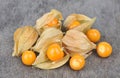 Physalis heap fruit Royalty Free Stock Photo