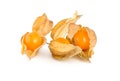 Physalis isolated Royalty Free Stock Photo