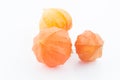 Physalis isolated on white Royalty Free Stock Photo