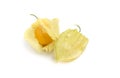 Physalis isolated on a white background. cape gooseberry
